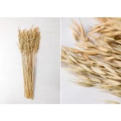 SKLUM Ramo Decorativo Di Jayra Beige Crema 7 SKLUM Ramo Decorativo Di Jayra Beige Crema -Vendite ATMOSPHERA 77183420 3