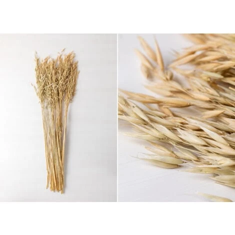 SKLUM Ramo Decorativo Di Jayra Beige Crema 3 SKLUM Ramo Decorativo Di Jayra Beige Crema - immagine 3