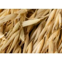 SKLUM Ramo Decorativo Di Jayra Beige Crema 8 SKLUM Ramo Decorativo Di Jayra Beige Crema -Vendite ATMOSPHERA 77183420 4