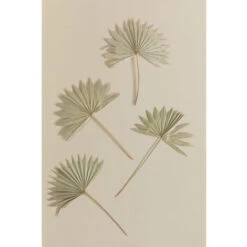 SKLUM Confezione Da 4 Rami Secchi Decorativi Urpek Verde Bambù -Vendite ATMOSPHERA 77183425 3