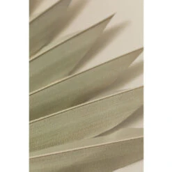 SKLUM Confezione Da 4 Rami Secchi Decorativi Urpek Verde Bambù -Vendite ATMOSPHERA 77183425 4