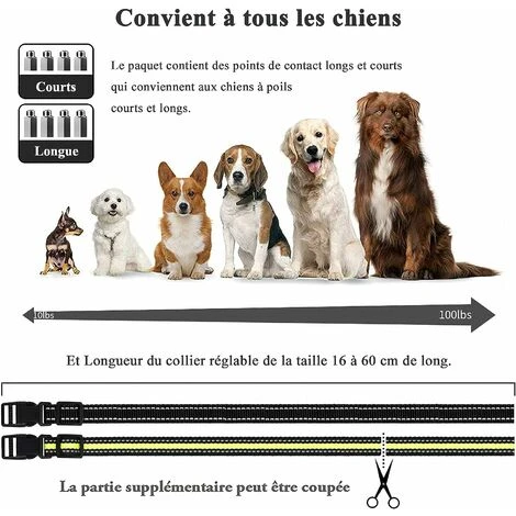 Doppio Collare Da Addestramento Per Cani Ricaricabile, Telecomando Da 1000 M, Blocco Pulsanti E Impermeabile IP67, Collare Elettrico Con Modalità Vibrazione, Shock E Suono - 2 Pezzi (grigio) 2 Doppio Collare Da Addestramento Per Cani Ricaricabile, Telecomando Da 1000 M, Blocco Pulsanti E Impermeabile IP67, Collare Elettrico Con Modalità Vibrazione, Shock E Suono - 2 Pezzi (grigio) - immagine 2