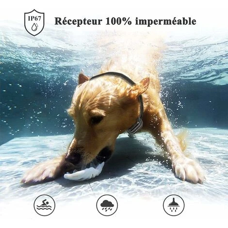 Doppio Collare Da Addestramento Per Cani Ricaricabile, Telecomando Da 1000 M, Blocco Pulsanti E Impermeabile IP67, Collare Elettrico Con Modalità Vibrazione, Shock E Suono - 2 Pezzi (grigio) 5 Doppio Collare Da Addestramento Per Cani Ricaricabile, Telecomando Da 1000 M, Blocco Pulsanti E Impermeabile IP67, Collare Elettrico Con Modalità Vibrazione, Shock E Suono - 2 Pezzi (grigio) - immagine 5