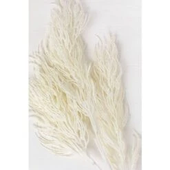 SKLUM Rami Artificiali Ramis Bianco Antico -Vendite ATMOSPHERA 79471574 4