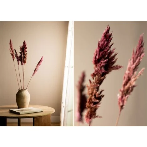 SKLUM Confezione Da 5 Rami Secchi Decorativi Dagrai Rosa Malva Pallido 2 SKLUM Confezione Da 5 Rami Secchi Decorativi Dagrai Rosa Malva Pallido - immagine 2