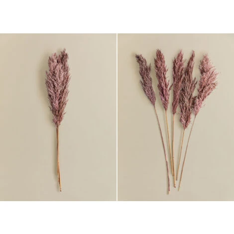 SKLUM Confezione Da 5 Rami Secchi Decorativi Dagrai Rosa Malva Pallido 3 SKLUM Confezione Da 5 Rami Secchi Decorativi Dagrai Rosa Malva Pallido - immagine 3