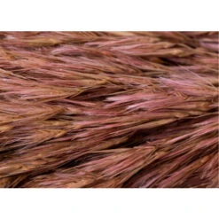 SKLUM Confezione Da 5 Rami Secchi Decorativi Dagrai Rosa Malva Pallido 8 SKLUM Confezione Da 5 Rami Secchi Decorativi Dagrai Rosa Malva Pallido -Vendite ATMOSPHERA 79489503 4