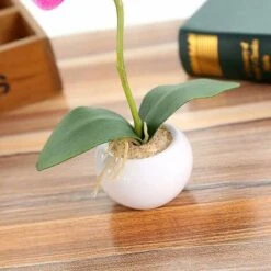 Pianta Di Simulazione Piccolo Vaso Rotondo Phalaenopsis Bonsai Fiore Di Simulazione Ornamenti Di Fiori Di Seta D -Vendite ATMOSPHERA 81290361 3