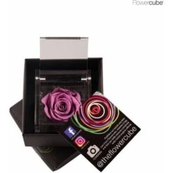 Flowercube Rosa Cm 6x6 - Lilla
