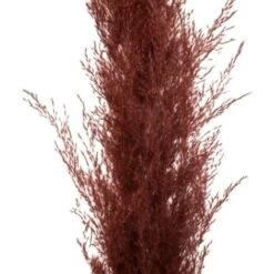 Pampa Rubino Naturale H110cmx3 - Atmosphera Créateur D'intérieur -Vendite ATMOSPHERA 83774745 3