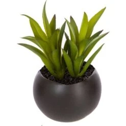 Impianto Di Grasso Magnetico D6 - Nero C - Atmosphera Créateur D'intérieur -Vendite ATMOSPHERA 83778801 3