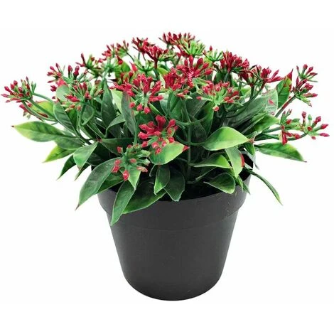 Pianta Artificiale Fiore Artificiale Foglia Piccola Legno Di Sandalo Colore Rosso Simulazione Bonsai Pianta Pianta Alghe Fiore Decorazione Della Casa Simulazione Bonsai (rosso) 1 Pianta Artificiale Fiore Artificiale Foglia Piccola Legno Di Sandalo Colore Rosso Simulazione Bonsai Pianta Pianta Alghe Fiore Decorazione Della Casa Simulazione Bonsai (rosso)