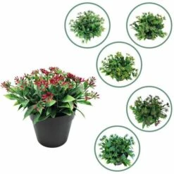 Pianta Artificiale Fiore Artificiale Foglia Piccola Legno Di Sandalo Colore Rosso Simulazione Bonsai Pianta Pianta Alghe Fiore Decorazione Della Casa Simulazione Bonsai (rosso) 8 Pianta Artificiale Fiore Artificiale Foglia Piccola Legno Di Sandalo Colore Rosso Simulazione Bonsai Pianta Pianta Alghe Fiore Decorazione Della Casa Simulazione Bonsai (rosso) -Vendite ATMOSPHERA 85903900 4