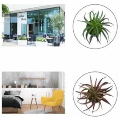 Pianta Artificiale Simulazione Di Fiori Artificiali Pianta Grassa Fresia Pianta In Vaso Simulazione Interna Fiore Decorazione Della Casa Bonsai Ornamenti Pianta Verde Pianta Di Simulazione (Marrone) 9 Pianta Artificiale Simulazione Di Fiori Artificiali Pianta Grassa Fresia Pianta In Vaso Simulazione Interna Fiore Decorazione Della Casa Bonsai Ornamenti Pianta Verde Pianta Di Simulazione (Marrone) -Vendite ATMOSPHERA 85904990 5