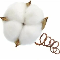 Ramo Di Cotone Stelo Naturale Fattoria Fiori Secchi Rami Di Cotone Pianta Di Cotone Fiori Secchi Artificiali (20 Pezzi). -Vendite ATMOSPHERA 85912303 3