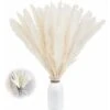 Set Di 15 Erba Di Pampas Essiccata, Decorazione Per Vaso Di Fiori Secchi Artificiali Da 43 Cm, Decorazione Di Erba Di Pampas E Fiori Secchi, Erba Di Pampas Naturale, Erba Di Pampas Essiccata, Canne Es
