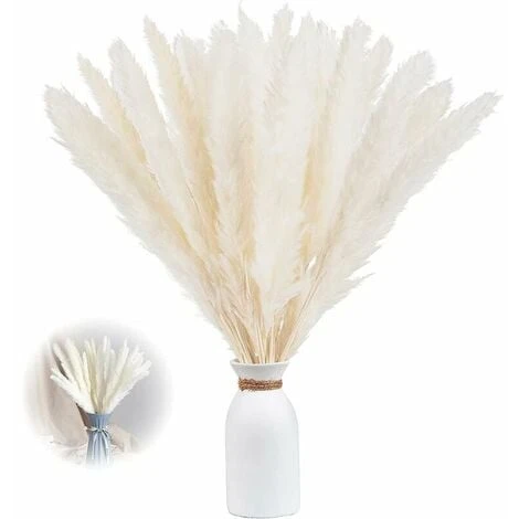 Set Di 15 Erba Di Pampas Essiccata, Decorazione Per Vaso Di Fiori Secchi Artificiali Da 43 Cm, Decorazione Di Erba Di Pampas E Fiori Secchi, Erba Di Pampas Naturale, Erba Di Pampas Essiccata, Canne Es 1 Set Di 15 Erba Di Pampas Essiccata, Decorazione Per Vaso Di Fiori Secchi Artificiali Da 43 Cm, Decorazione Di Erba Di Pampas E Fiori Secchi, Erba Di Pampas Naturale, Erba Di Pampas Essiccata, Canne Es