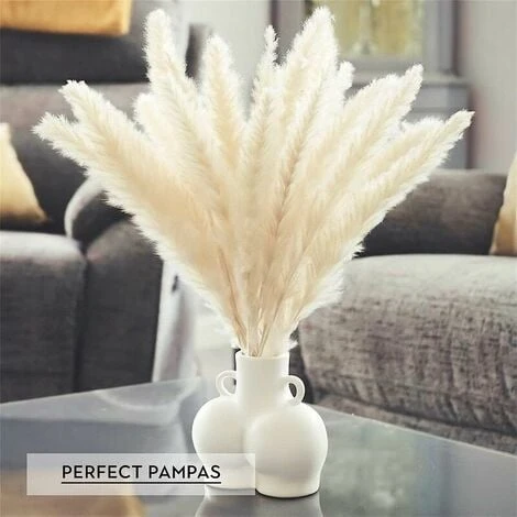 Set Di 15 Erba Di Pampas Essiccata, Decorazione Per Vaso Di Fiori Secchi Artificiali Da 43 Cm, Decorazione Di Erba Di Pampas E Fiori Secchi, Erba Di Pampas Naturale, Erba Di Pampas Essiccata, Canne Es 2 Set Di 15 Erba Di Pampas Essiccata, Decorazione Per Vaso Di Fiori Secchi Artificiali Da 43 Cm, Decorazione Di Erba Di Pampas E Fiori Secchi, Erba Di Pampas Naturale, Erba Di Pampas Essiccata, Canne Es - immagine 2