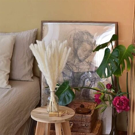 Set Di 15 Erba Di Pampas Essiccata, Decorazione Per Vaso Di Fiori Secchi Artificiali Da 43 Cm, Decorazione Di Erba Di Pampas E Fiori Secchi, Erba Di Pampas Naturale, Erba Di Pampas Essiccata, Canne Es 3 Set Di 15 Erba Di Pampas Essiccata, Decorazione Per Vaso Di Fiori Secchi Artificiali Da 43 Cm, Decorazione Di Erba Di Pampas E Fiori Secchi, Erba Di Pampas Naturale, Erba Di Pampas Essiccata, Canne Es - immagine 3