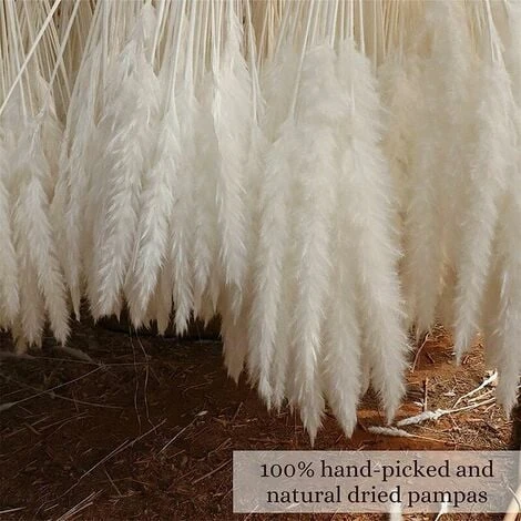 Set Di 15 Erba Di Pampas Essiccata, Decorazione Per Vaso Di Fiori Secchi Artificiali Da 43 Cm, Decorazione Di Erba Di Pampas E Fiori Secchi, Erba Di Pampas Naturale, Erba Di Pampas Essiccata, Canne Es 4 Set Di 15 Erba Di Pampas Essiccata, Decorazione Per Vaso Di Fiori Secchi Artificiali Da 43 Cm, Decorazione Di Erba Di Pampas E Fiori Secchi, Erba Di Pampas Naturale, Erba Di Pampas Essiccata, Canne Es - immagine 4