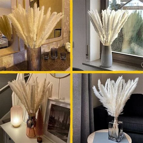 Set Di 15 Erba Di Pampas Essiccata, Decorazione Per Vaso Di Fiori Secchi Artificiali Da 43 Cm, Decorazione Di Erba Di Pampas E Fiori Secchi, Erba Di Pampas Naturale, Erba Di Pampas Essiccata, Canne Es 5 Set Di 15 Erba Di Pampas Essiccata, Decorazione Per Vaso Di Fiori Secchi Artificiali Da 43 Cm, Decorazione Di Erba Di Pampas E Fiori Secchi, Erba Di Pampas Naturale, Erba Di Pampas Essiccata, Canne Es - immagine 5