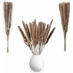 30pcs Piccola Erba Di Pampa Naturale Essiccata Fiori Secchi Bouquet Vasi Decorazione Fai Da Te Per La Decorazione Domestica Fotografia Camera Balcone Tavolo Centrotavola Matrimoni Colore Primario -Vendite ATMOSPHERA 86167177 3