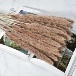 30pcs Piccola Erba Di Pampa Naturale Essiccata Fiori Secchi Bouquet Vasi Decorazione Fai Da Te Per La Decorazione Domestica Fotografia Camera Balcone Tavolo Centrotavola Matrimoni Colore Primario -Vendite ATMOSPHERA 86167177 4