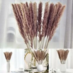 30pcs Piccola Erba Di Pampa Naturale Essiccata Fiori Secchi Bouquet Vasi Decorazione Fai Da Te Per La Decorazione Domestica Fotografia Camera Balcone Tavolo Centrotavola Matrimoni Colore Primario -Vendite ATMOSPHERA 86167177 5