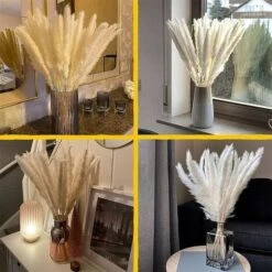 Set Di Erba Di Pampas Essiccata Di 30, 43cm Decorazione Vaso Di Fiori Secchi Artificiali, Decorazione Di Erba Di Pampas E Fiori Secchi, Erba Di Pampas Naturale, Erba Di Pampas Essiccata, Canne Essicca -Vendite ATMOSPHERA 86168199 5