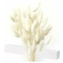 Decorazione Di Erba Di Pampa Essiccata 40 X Erba Di Pampa Essiccata Fiori Secchi Senza Profumo Bouquet Di Fiori Secchi Decorazione Di Fiori Secchi Naturali -Vendite ATMOSPHERA 86169059 3