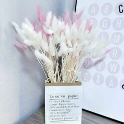 Decorazione Di Erba Di Pampa Essiccata 40 X Erba Di Pampa Essiccata Fiori Secchi Senza Profumo Bouquet Di Fiori Secchi Decorazione Di Fiori Secchi Naturali -Vendite ATMOSPHERA 86169059 4
