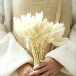 Decorazione Di Erba Di Pampa Essiccata 40 X Erba Di Pampa Essiccata Fiori Secchi Senza Profumo Bouquet Di Fiori Secchi Decorazione Di Fiori Secchi Naturali -Vendite ATMOSPHERA 86169059 5