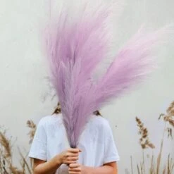 3 Pezzi Erba Della Pampas Secca Decorative, 110 Cm Pampas Alte Piume Decorative Per Vaso, Boho Viola Colore, Per Decorazioni Natale Interno Casa Nozze -Vendite ATMOSPHERA 87878341 4