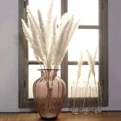 LITZEE30 Pz Erba Di Pampa, Erba Di Pampa Naturale Erba Di Pampa Essiccata Erba Phragmites Mazzo Di Fiori Secchi Decorazione Della Casa -Vendite ATMOSPHERA 88936471 4