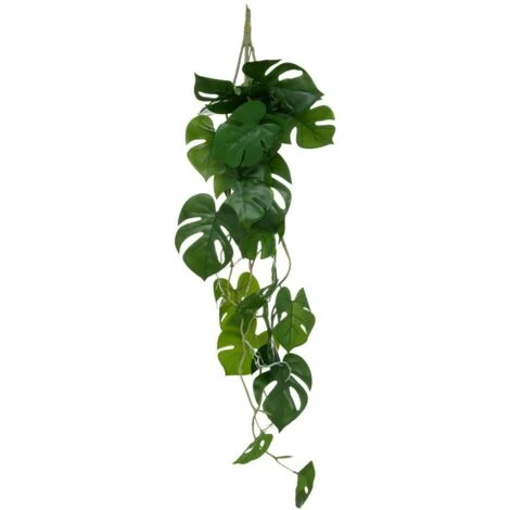 Pianta Pensile Monstera H85cm - Atmosphera Créateur D'intérieur 1 Pianta Pensile Monstera H85cm - Atmosphera Créateur D'intérieur