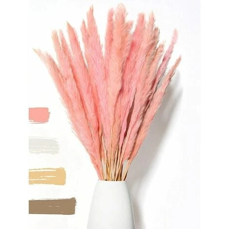 BIANCO DI LUSSO - Erba Di Pampa Piccola Come Fiori Secchi UN Colpo D'occhio - Erba Di Pampa Secca Eterna Per La Decorazione Di Fiori Secchi - Erba Di Pampa E Decorazione Di Fiori Secchi - Vaso Per Bou 1 BIANCO DI LUSSO - Erba Di Pampa Piccola Come Fiori Secchi UN Colpo D'occhio - Erba Di Pampa Secca Eterna Per La Decorazione Di Fiori Secchi - Erba Di Pampa E Decorazione Di Fiori Secchi - Vaso Per Bou