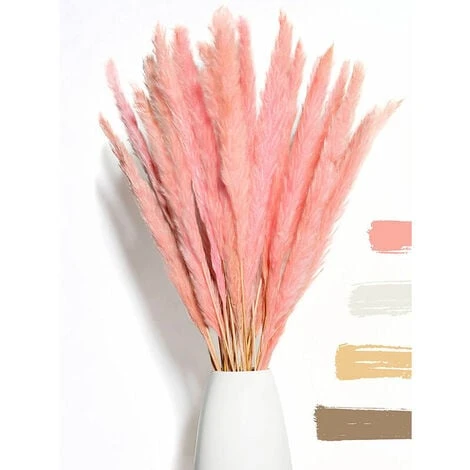 BIANCO DI LUSSO - Erba Di Pampa Piccola Come Fiori Secchi UN Colpo D'occhio - Erba Di Pampa Secca Eterna Per La Decorazione Di Fiori Secchi - Erba Di Pampa E Decorazione Di Fiori Secchi - Vaso Per Bou 2 BIANCO DI LUSSO - Erba Di Pampa Piccola Come Fiori Secchi UN Colpo D'occhio - Erba Di Pampa Secca Eterna Per La Decorazione Di Fiori Secchi - Erba Di Pampa E Decorazione Di Fiori Secchi - Vaso Per Bou - immagine 2