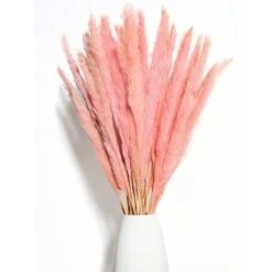 BIANCO DI LUSSO - Erba Di Pampa Piccola Come Fiori Secchi UN Colpo D'occhio - Erba Di Pampa Secca Eterna Per La Decorazione Di Fiori Secchi - Erba Di Pampa E Decorazione Di Fiori Secchi - Vaso Per Bou 7 BIANCO DI LUSSO - Erba Di Pampa Piccola Come Fiori Secchi UN Colpo D'occhio - Erba Di Pampa Secca Eterna Per La Decorazione Di Fiori Secchi - Erba Di Pampa E Decorazione Di Fiori Secchi - Vaso Per Bou -Vendite ATMOSPHERA 91189812 3