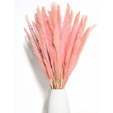 BIANCO DI LUSSO - Erba Di Pampa Piccola Come Fiori Secchi UN Colpo D'occhio - Erba Di Pampa Secca Eterna Per La Decorazione Di Fiori Secchi - Erba Di Pampa E Decorazione Di Fiori Secchi - Vaso Per Bou 3 BIANCO DI LUSSO - Erba Di Pampa Piccola Come Fiori Secchi UN Colpo D'occhio - Erba Di Pampa Secca Eterna Per La Decorazione Di Fiori Secchi - Erba Di Pampa E Decorazione Di Fiori Secchi - Vaso Per Bou - immagine 3