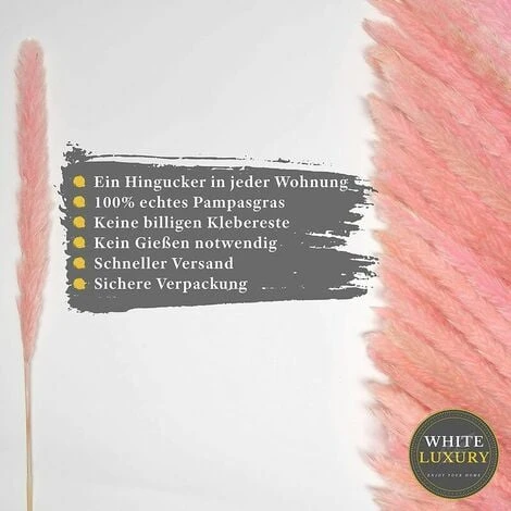 BIANCO DI LUSSO - Erba Di Pampa Piccola Come Fiori Secchi UN Colpo D'occhio - Erba Di Pampa Secca Eterna Per La Decorazione Di Fiori Secchi - Erba Di Pampa E Decorazione Di Fiori Secchi - Vaso Per Bou 4 BIANCO DI LUSSO - Erba Di Pampa Piccola Come Fiori Secchi UN Colpo D'occhio - Erba Di Pampa Secca Eterna Per La Decorazione Di Fiori Secchi - Erba Di Pampa E Decorazione Di Fiori Secchi - Vaso Per Bou - immagine 4