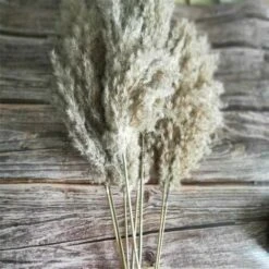 20 Pezzi Di Erba Di Pampas Secca Piccola Decorazione Naturale Phragmites Communis Bouquet Di Fiori Da Sposa Reale 8 20 Pezzi Di Erba Di Pampas Secca Piccola Decorazione Naturale Phragmites Communis Bouquet Di Fiori Da Sposa Reale -Vendite ATMOSPHERA 91191597 4