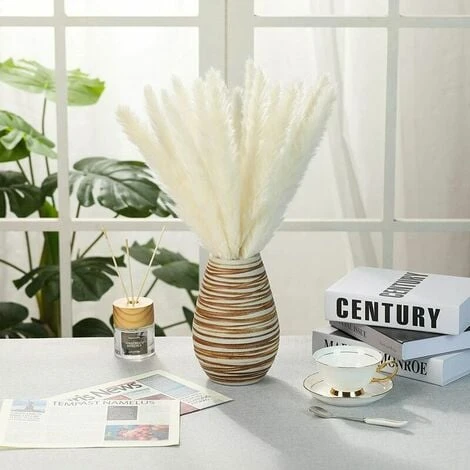 Erba Di Pampa Essiccata - Mazzo Di Fiori Secchi Di Erba Di Canne Di Piume Naturali Da 30 Pezzi Per La Decorazione Della Festa Nuziale Della Cucina Fai-da-te 2 Erba Di Pampa Essiccata - Mazzo Di Fiori Secchi Di Erba Di Canne Di Piume Naturali Da 30 Pezzi Per La Decorazione Della Festa Nuziale Della Cucina Fai-da-te - immagine 2