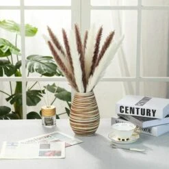 Erba Di Pampa Essiccata - Mazzo Di Fiori Secchi Di Erba Di Canne Di Piume Naturali Da 30 Pezzi Per La Decorazione Della Festa Nuziale Della Cucina Fai-da-te 8 Erba Di Pampa Essiccata - Mazzo Di Fiori Secchi Di Erba Di Canne Di Piume Naturali Da 30 Pezzi Per La Decorazione Della Festa Nuziale Della Cucina Fai-da-te -Vendite ATMOSPHERA 91194099 4