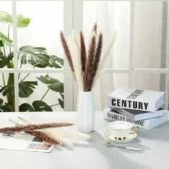 Erba Di Pampa Essiccata - Mazzo Di Fiori Secchi Di Erba Di Canne Di Piume Naturali Da 30 Pezzi Per La Decorazione Della Festa Nuziale Della Cucina Fai-da-te 9 Erba Di Pampa Essiccata - Mazzo Di Fiori Secchi Di Erba Di Canne Di Piume Naturali Da 30 Pezzi Per La Decorazione Della Festa Nuziale Della Cucina Fai-da-te -Vendite ATMOSPHERA 91194099 5