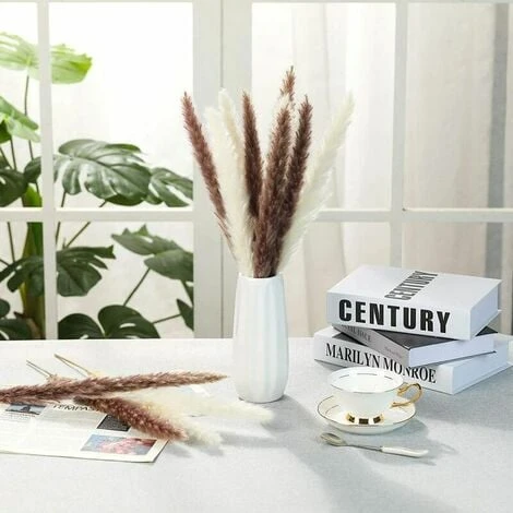 Erba Di Pampa Essiccata - Mazzo Di Fiori Secchi Di Erba Di Canne Di Piume Naturali Da 30 Pezzi Per La Decorazione Della Festa Nuziale Della Cucina Fai-da-te 5 Erba Di Pampa Essiccata - Mazzo Di Fiori Secchi Di Erba Di Canne Di Piume Naturali Da 30 Pezzi Per La Decorazione Della Festa Nuziale Della Cucina Fai-da-te - immagine 5