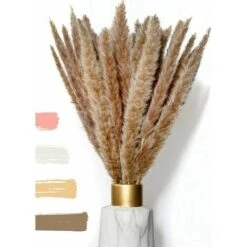 BIANCO DI LUSSO - Erba Di Pampa Piccola Come Fiori Secchi UN Colpo D'occhio - Erba Di Pampa Secca Eterna Per La Decorazione Di Fiori Secchi - Decorazione Di Erba Di Pampa E Fiori Secchi - Vaso Per Bou