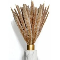 BIANCO DI LUSSO - Erba Di Pampa Piccola Come Fiori Secchi UN Colpo D'occhio - Erba Di Pampa Secca Eterna Per La Decorazione Di Fiori Secchi - Decorazione Di Erba Di Pampa E Fiori Secchi - Vaso Per Bou -Vendite ATMOSPHERA 91195714 3