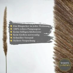 BIANCO DI LUSSO - Erba Di Pampa Piccola Come Fiori Secchi UN Colpo D'occhio - Erba Di Pampa Secca Eterna Per La Decorazione Di Fiori Secchi - Decorazione Di Erba Di Pampa E Fiori Secchi - Vaso Per Bou -Vendite ATMOSPHERA 91195714 5