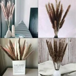 30pcs Erba Di Pampas 60cm Fiori Di Pampas Naturali Bouquet Di Fiori Secchi Per Vasi Decorazioni Bohémien Camera Da Letto Casa Soggiorno Centrotavola Per Foto Di Nozze -Vendite ATMOSPHERA 91210134 3