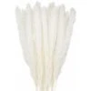 30pcs Pampas Grass 45cm Fiori Di Pampas Naturali Bouquet Di Fiori Secchi Per Vasi Bianco Boho Decor Camera Da Letto Casa Soggiorno Centrotavola Fotografia Di Matrimonio Centrotavola